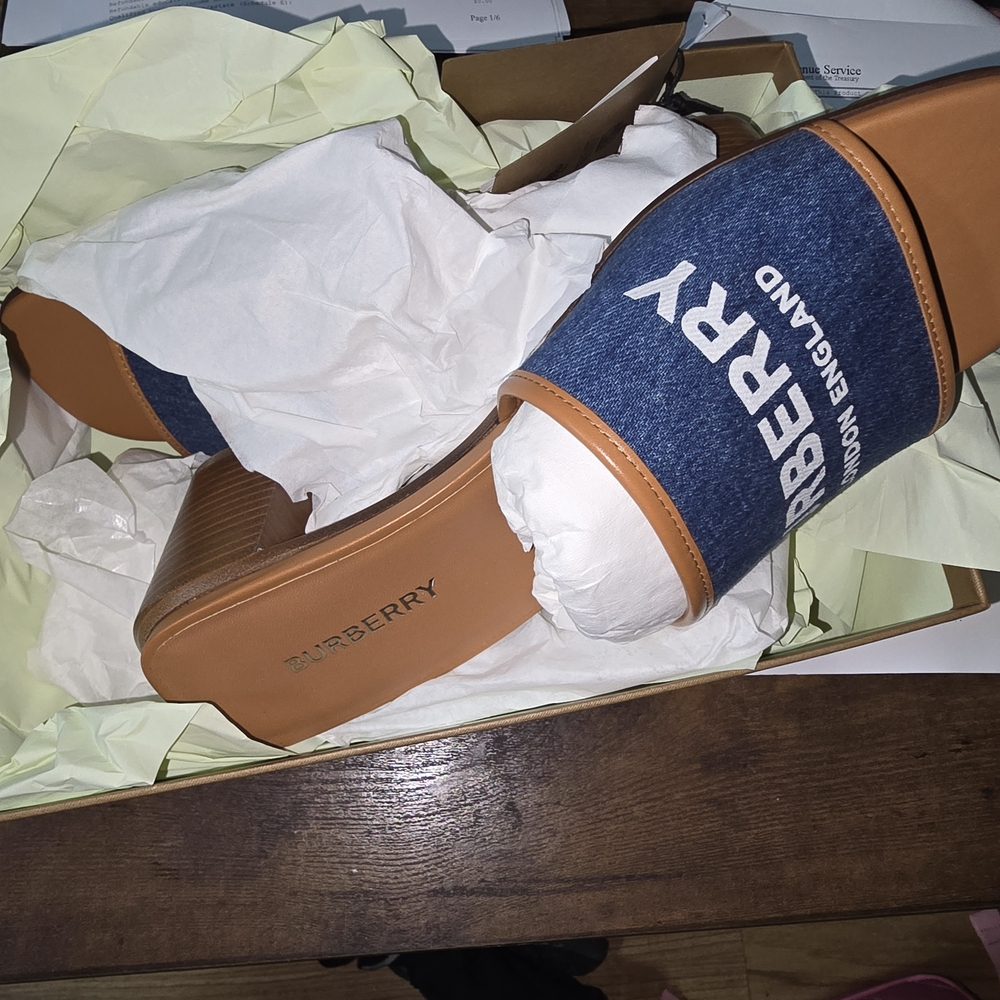 Burberry Blue and Tan Women's Slippers